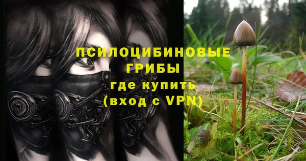 ПСИЛОЦИБИНОВЫЕ ГРИБЫ Балабаново