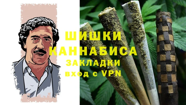 ПСИЛОЦИБИНОВЫЕ ГРИБЫ Балабаново