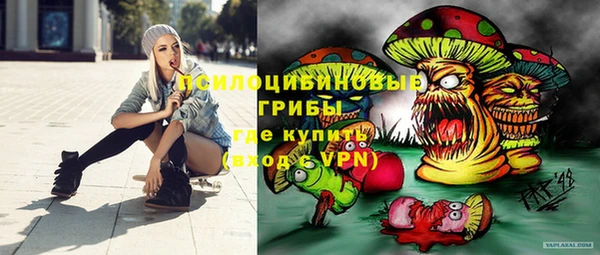 ПСИЛОЦИБИНОВЫЕ ГРИБЫ Балабаново