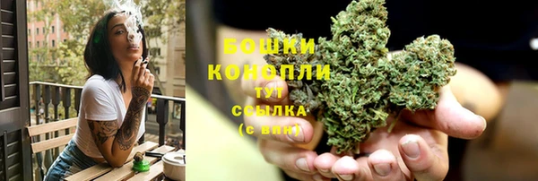 ПСИЛОЦИБИНОВЫЕ ГРИБЫ Балабаново